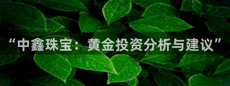 开丰娱乐 赢咖一：“中鑫珠宝：黄金投资分析与建议”