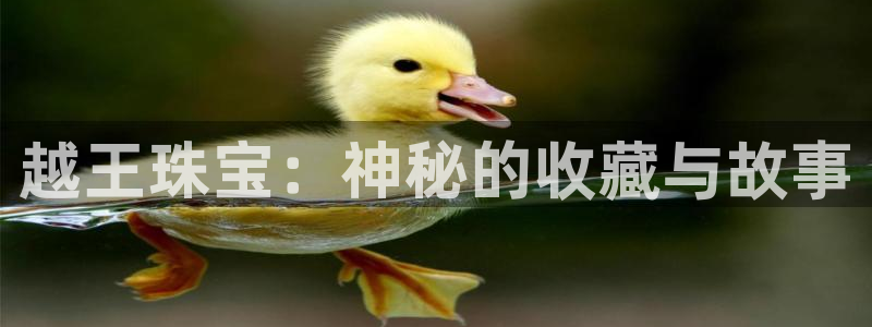 开丰娱乐平台官网网址：越王珠宝：神秘的收藏与故事