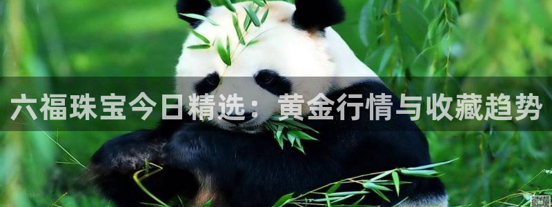 开丰娱乐注册自判官333OO：六福珠宝今日精选：黄金行情与收藏趋势