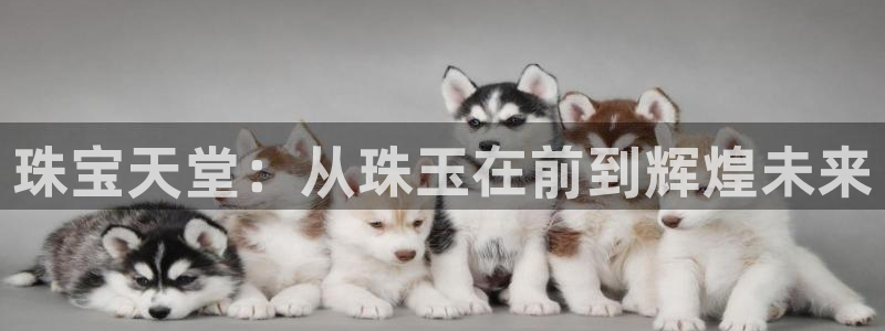 开丰娱乐左：珠宝天堂：从珠玉在前到辉煌未来