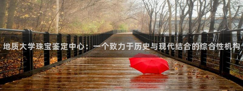 开丰娱乐天：地质大学珠宝鉴定中心：一个致力于历史与现代结合的综合性机构