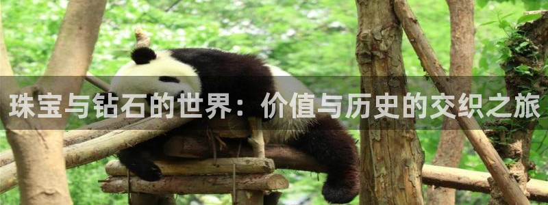 开丰娱乐登入地址查询：珠宝与钻石的世界：价值与历史的交织之旅