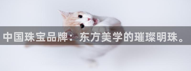 开丰娱乐会员中心：中国珠宝品牌：东方美学的璀璨明珠。