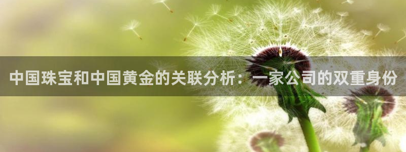 开丰娱乐注册登录不了：中国珠宝和中国黄金的关联分析：一家公司的双重身份