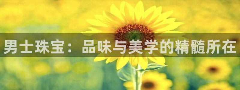 开丰娱乐上7O667：男士珠宝：品味与美学的精髓所在