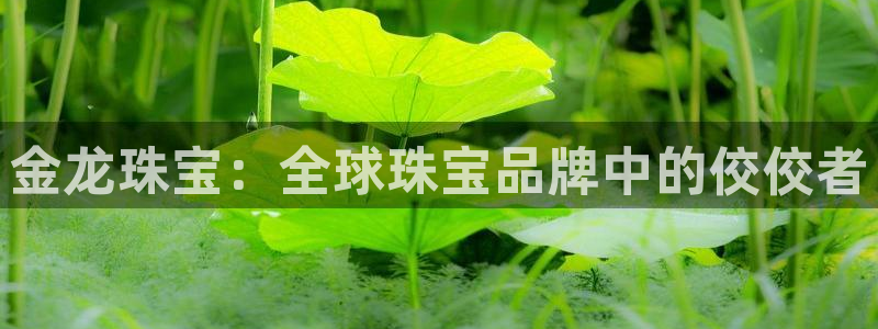 开丰娱乐登陆：金龙珠宝：全球珠宝品牌中的佼佼者