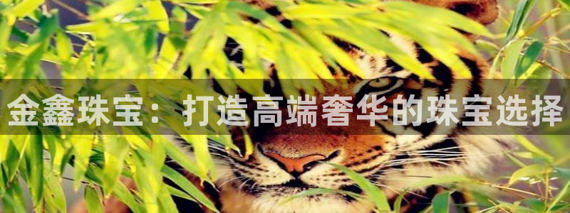 开丰娱乐登陆