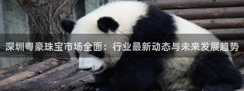 开丰娱乐靠谱吗：深圳粤豪珠宝市场全面：行业最新动态与未来发展趋势