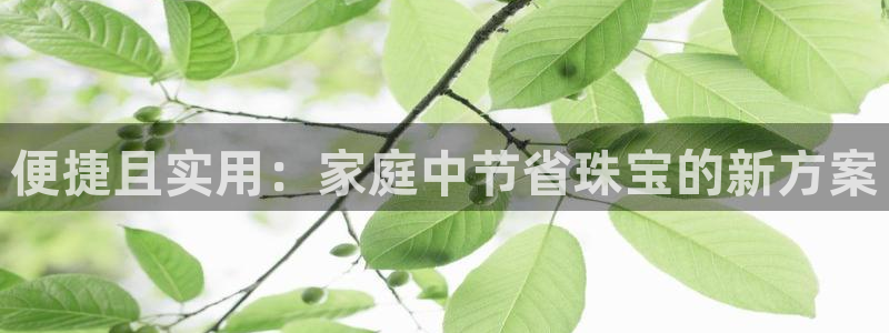 开丰娱乐官网首页：便捷且实用：家庭中节省珠宝的新方案