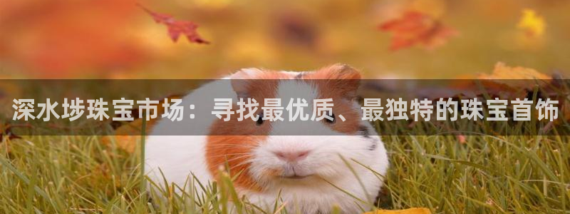 开丰娱乐平台地址在哪里
