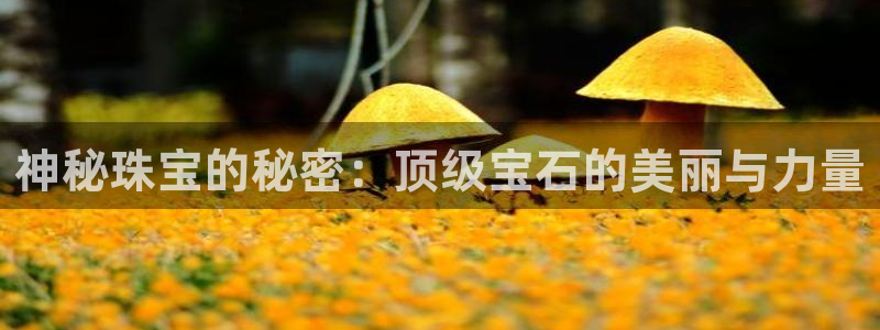 开丰娱乐官方app：神秘珠宝的秘密：顶级宝石的美丽与力量