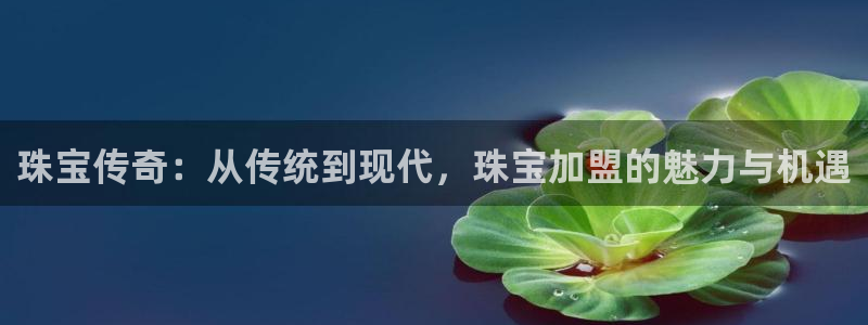 开丰娱乐月：珠宝传奇：从传统到现代，珠宝加盟的魅力与机遇