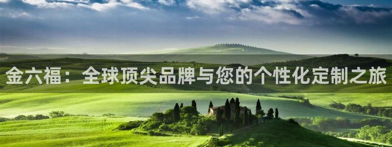开丰娱乐注册：金六福：全球顶尖品牌与您的个性化定制之旅