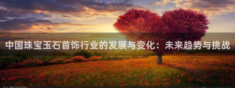 开丰娱乐予 7O935：中国珠宝玉石首饰行业的发展与变化：未来趋势与挑战