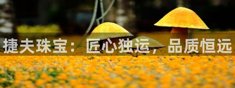 开丰娱乐地址查询：捷夫珠宝：匠心独运，品质恒远