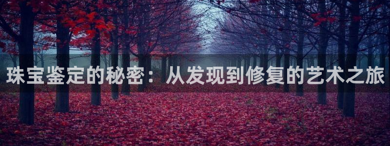 开丰娱乐新登录平台：珠宝鉴定的秘密：从发现到修复的艺术之旅