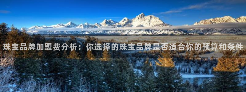 开丰娱乐天7O667：珠宝品牌加盟费分析：你选择的珠宝品牌是否适合你的预算和条件