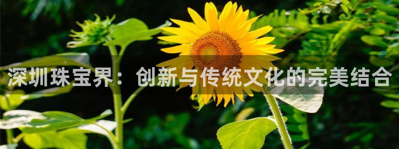 开丰娱乐若七九九：深圳珠宝界：创新与传统文化的完美结合