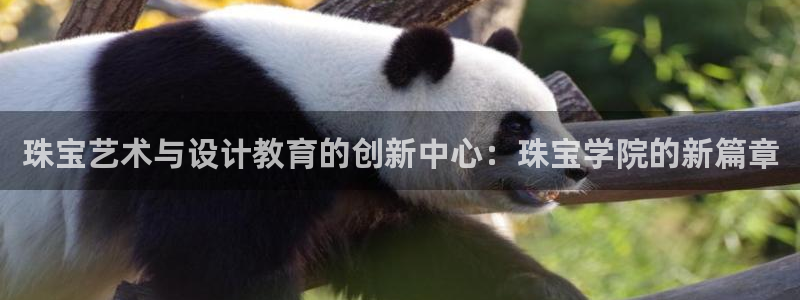 开丰娱乐登入地址在哪
