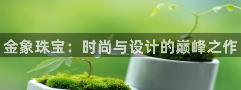开丰娱乐咋7O777：金象珠宝：时尚与设计的巅峰之作