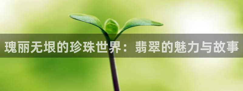 开丰娱乐平台官网登录：瑰丽无垠的珍珠世界：翡翠的魅力与故事