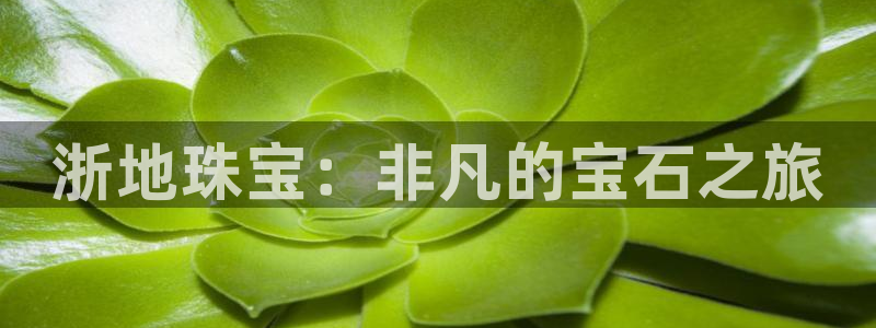 开丰娱乐app：浙地珠宝：非凡的宝石之旅