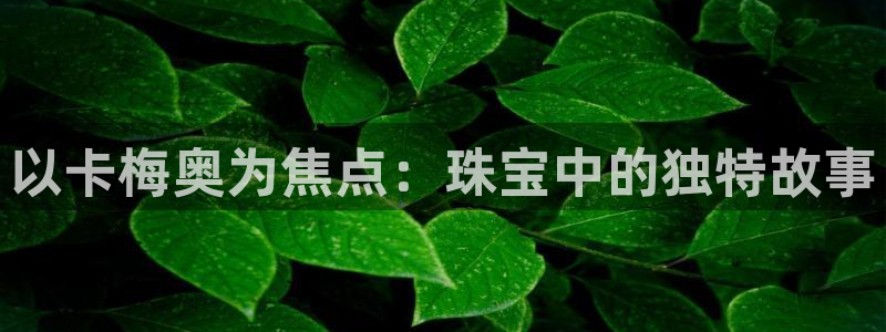 开丰娱乐官网首页：以卡梅奥为焦点：珠宝中的独特故事