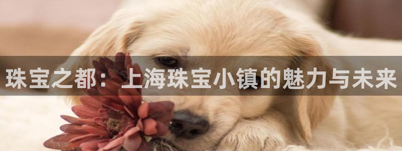开丰娱乐左7O667：珠宝之都：上海珠宝小镇的魅力与未来