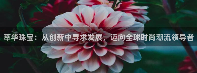 开丰娱乐平台注册：萃华珠宝：从创新中寻求发展，迈向全球时尚潮流领导者