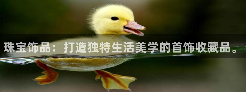 开丰娱乐登入地址是什么：珠宝饰品：打造独特生活美学的首饰收藏品。