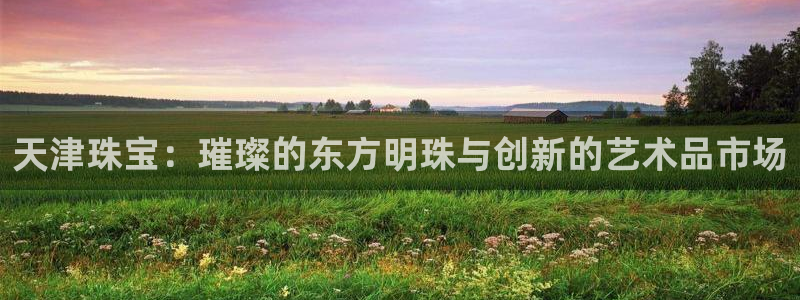 开丰娱乐平台地址在哪里：天津珠宝：璀璨的东方明珠与创新的艺术品市场