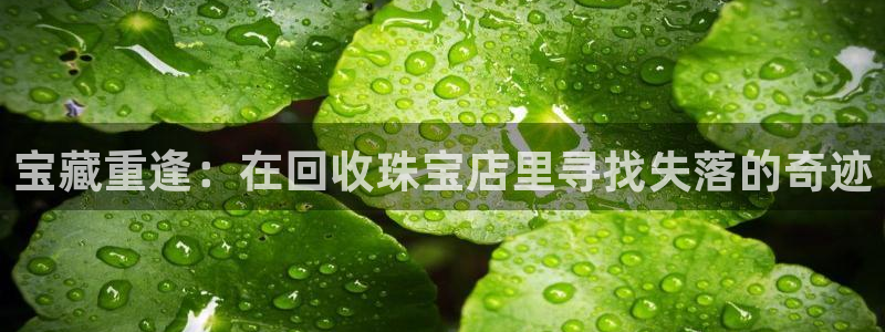开丰娱乐登入地址是什么：宝藏重逢：在回收珠宝店里寻找失落的奇迹