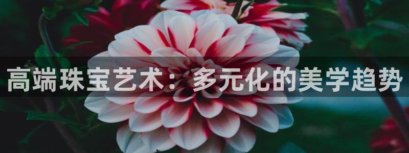 开丰娱乐测速
