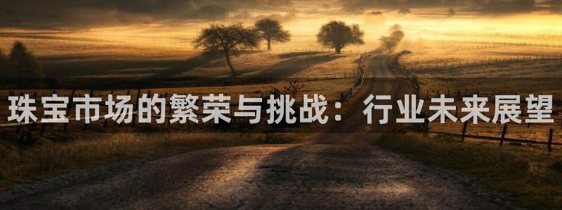 开丰娱乐网站：珠宝市场的繁荣与挑战：行业未来展望
