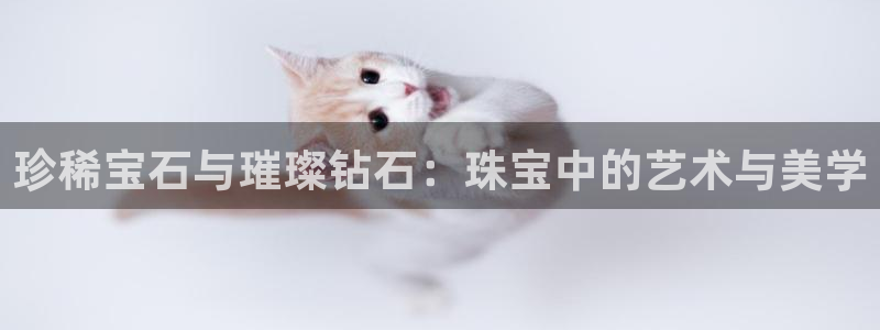 开丰娱乐上