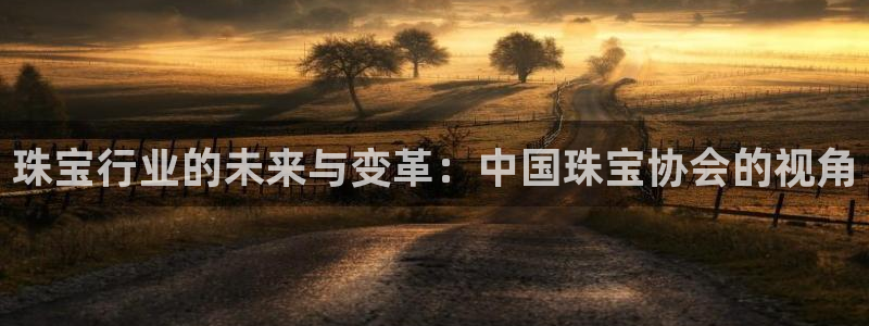 开丰娱乐寸67五壹叁八：珠宝行业的未来与变革：中国珠宝协会的视角