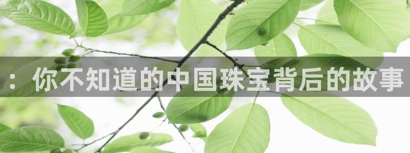 开丰娱乐乙833_43：：你不知道的中国珠宝背后的故事