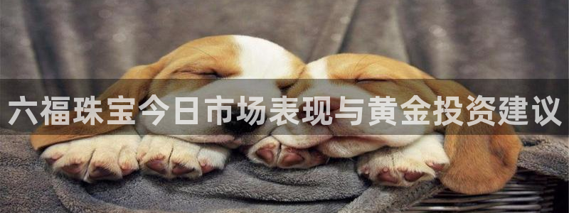 开丰娱乐平台登录网址：六福珠宝今日市场表现与黄金投资建议