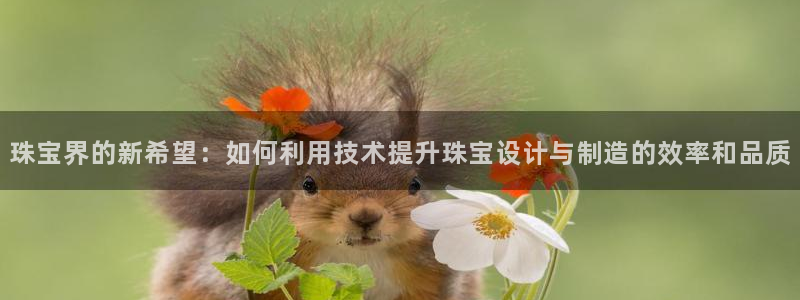 开丰娱乐官网招聘