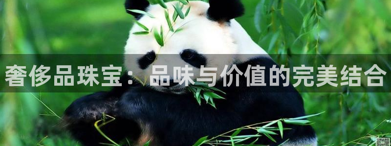 开丰娱乐开户：奢侈品珠宝：品味与价值的完美结合