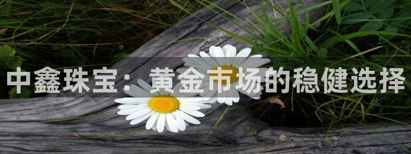 开丰娱乐予 7O935：中鑫珠宝：黄金市场的稳健选择