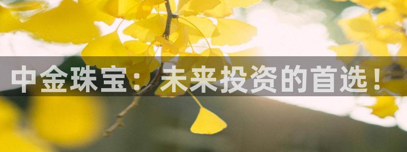 开丰娱乐与六七五一38：中金珠宝：未来投资的首选！