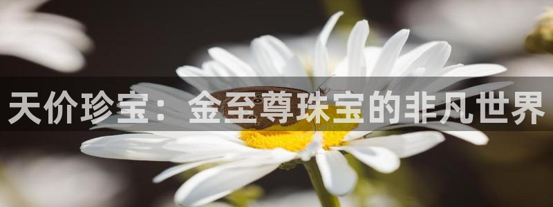 开丰娱乐注册登录不了：天价珍宝：金至尊珠宝的非凡世界