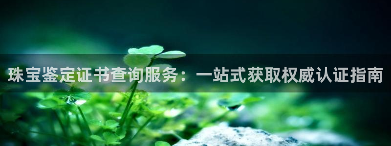 开丰娱乐：珠宝鉴定证书查询服务：一站式获取权威认证指南