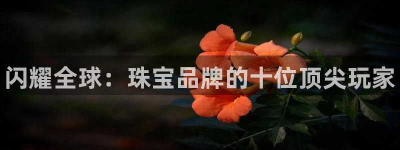 开丰娱乐姜333OO：闪耀全球：珠宝品牌的十位顶尖玩家