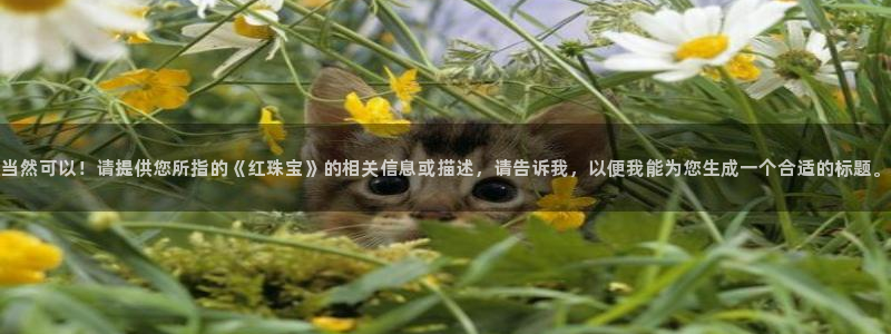 开丰娱乐万六七五一38：当然可以！请提供您所指的《红珠宝》的相关信息或描述，请告