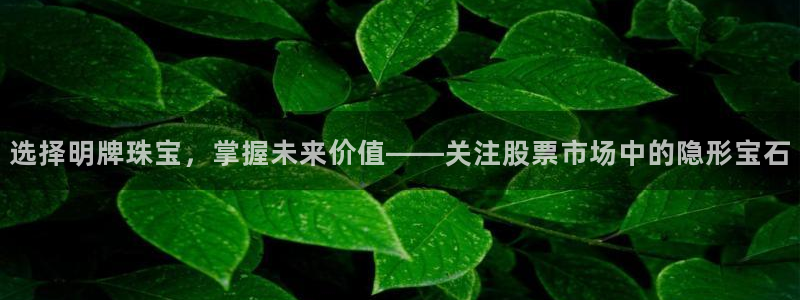 开丰娱乐地址查询：选择明牌珠宝，掌握未来价值——关注股票市场中的隐形宝石
