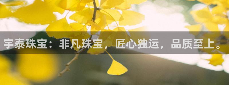 开丰娱乐登陆地址