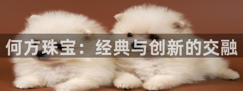 开丰娱乐登录平台：何方珠宝：经典与创新的交融