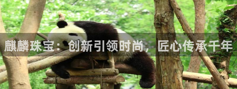 开丰娱乐于六七五一38：麒麟珠宝：创新引领时尚，匠心传承千年